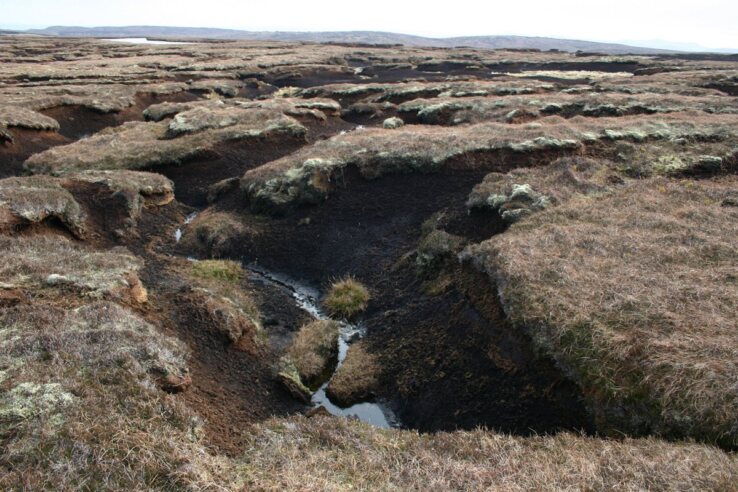 Petition calls on council to protect peatlands | The Shetland Times Ltd