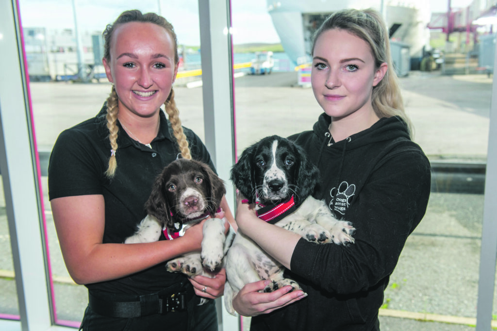 Dogs against Drugs show off their skills The Shetland Times Ltd