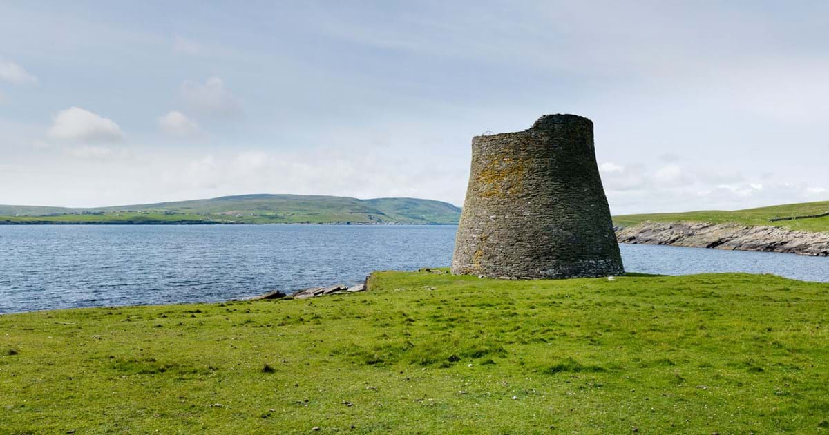 Mousa next island closed to public due to bird flu | The Shetland Times Ltd