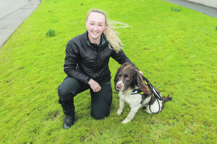 Sign Times petition in support of Dogs Against Drugs | The Shetland ...