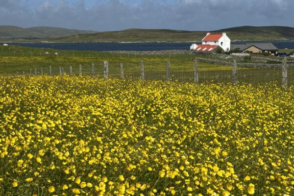 Whalsay man becomes pelagic chairman for Scotland | The Shetland Times Ltd